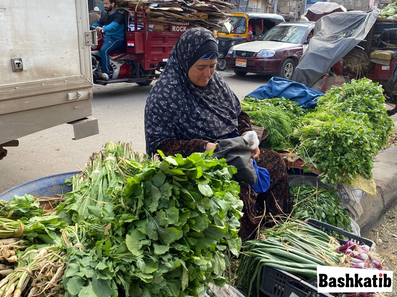تسجيل صوت عن الحنطور